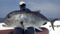 Gamefishing Asia - Sport Fishing Charters Andaman Island