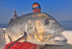 Andaman Islands popping and jigging, topwater lure casting, fishing charter