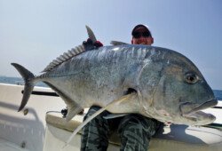 Andaman Islands popping and jigging, topwater lure casting, fishing charter