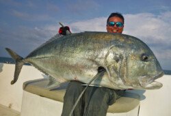 Andaman Islands popping and jigging, topwater lure casting, fishing charter