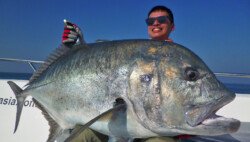 Andaman Islands popping and jigging, topwater lure casting, fishing charter