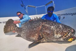 Andaman Islands popping and jigging, topwater lure casting, fishing charter